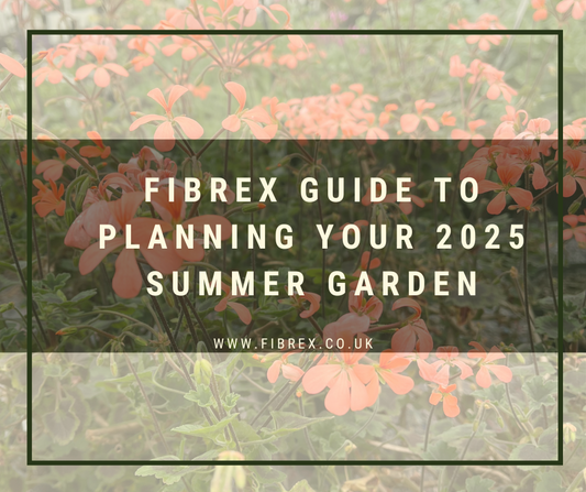 Your 2025 Summer Garden Guide